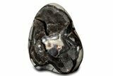 Free-Standing, Polished Septarian Geode - Black Crystals #302875-1